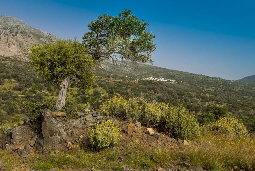 Korakas Beach Rodhákinon Luaran gambar